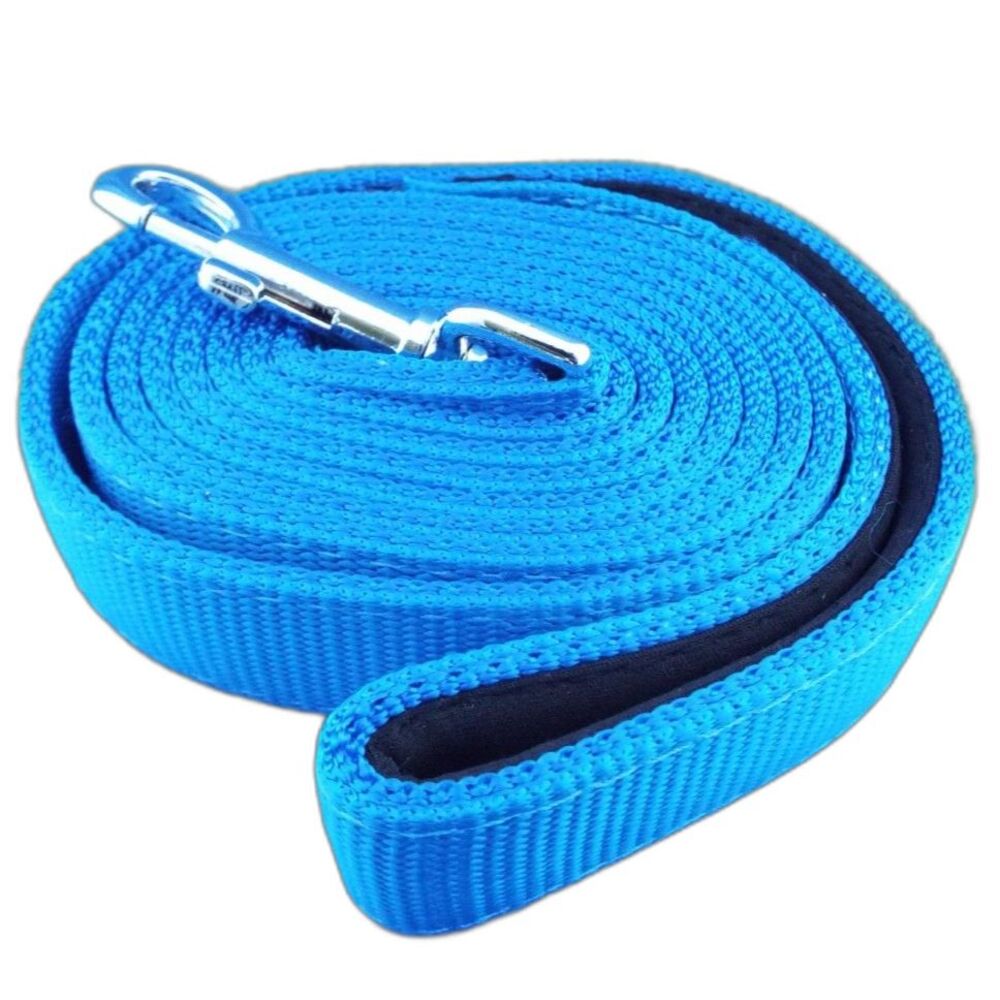 Premium Dog Leash - Dutchy Brand - 6' Foot long - Heavy Duty - Blue - NEW